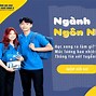 Các Chuyên Ngành Của Ngôn Ngữ Anh