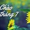 Những Cơn Mưa Tháng 7 Nước Ngập Úng Cả Khu Vườn