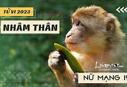 Tử Vi Tuổi Nhâm Thân Năm 2025 Nam Mạng